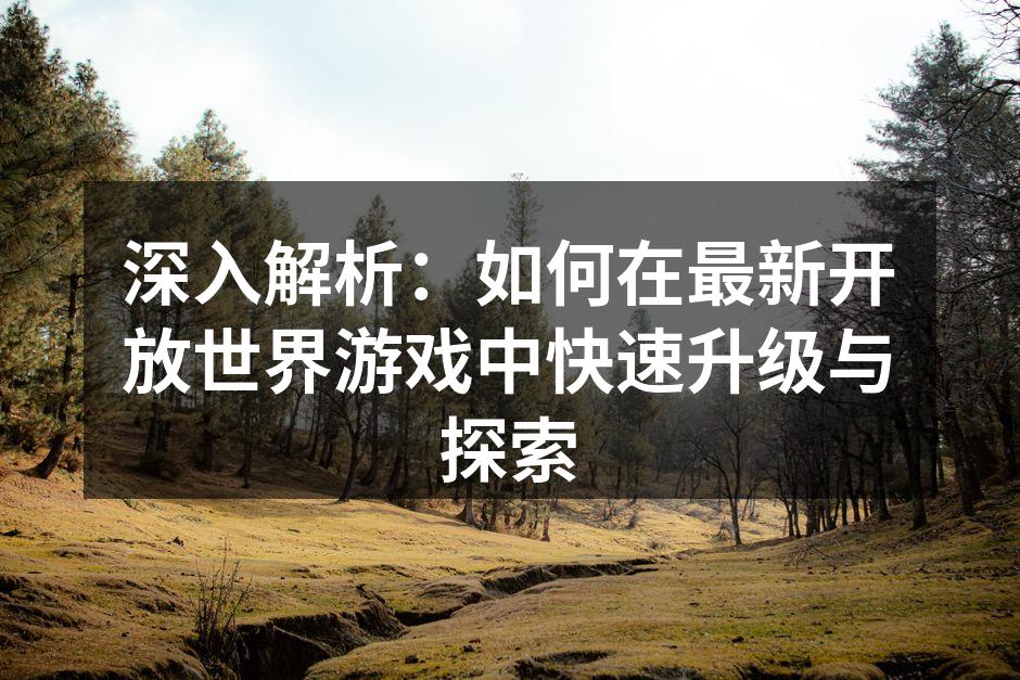 深入解析:如何在最新开放世界游戏中快速升